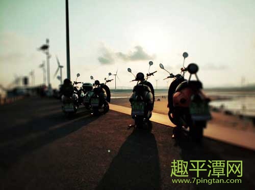 長江澳風(fēng)車田