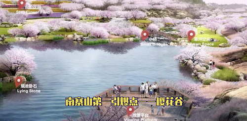 平潭櫻花谷效果圖